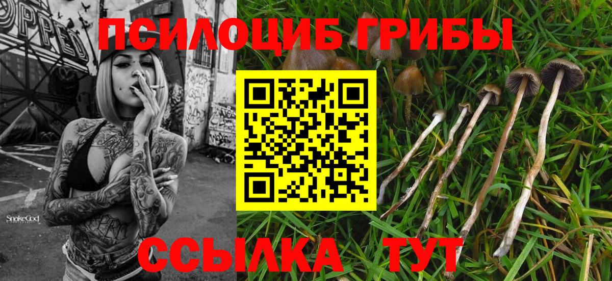 Галлюциногенные грибы мухоморы  Вход с VPN  Сокол  Галлюциногенные грибы прущие грибы 