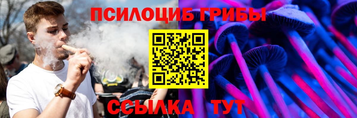 Псилоцибиновые грибы Magic Shrooms Сокол